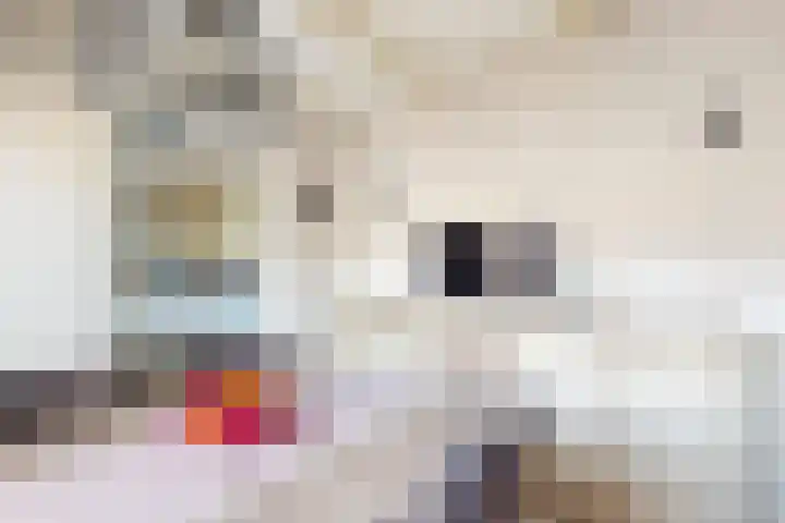 Blauwe Hoefsweg 6 Klundert thumbnail 23