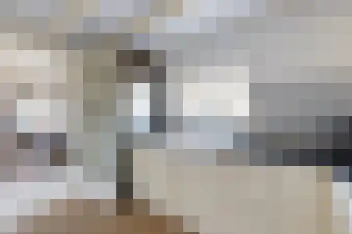 Blauwe Hoefsweg 6 Klundert thumbnail 25