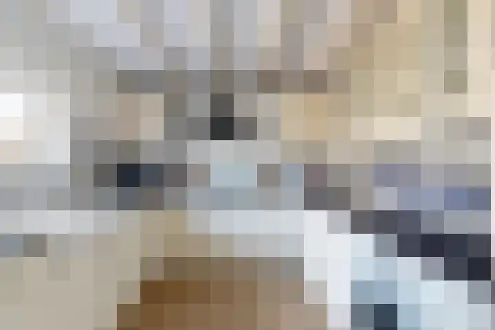 Blauwe Hoefsweg 6 Klundert foto 3