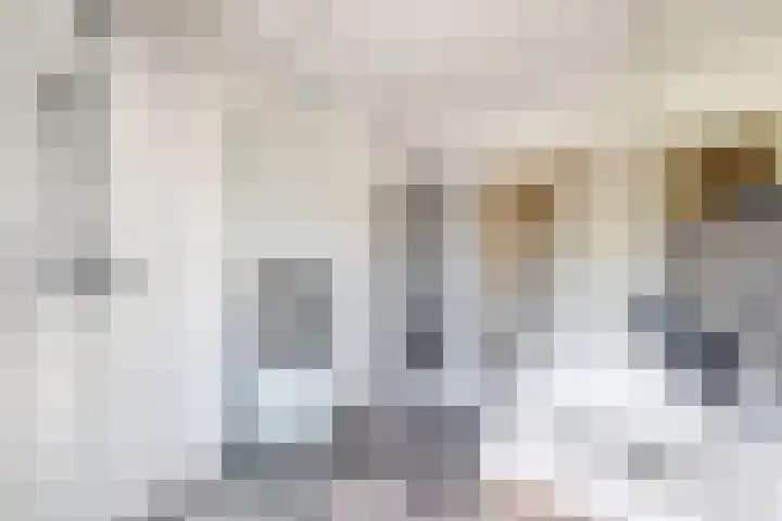 Blauwe Hoefsweg 6 Klundert thumbnail 40