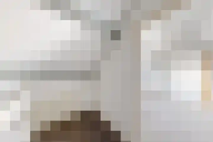 Blauwe Hoefsweg 6 Klundert thumbnail 47