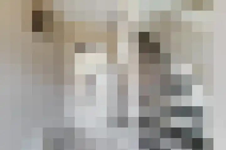 Blauwe Hoefsweg 6 Klundert thumbnail 8