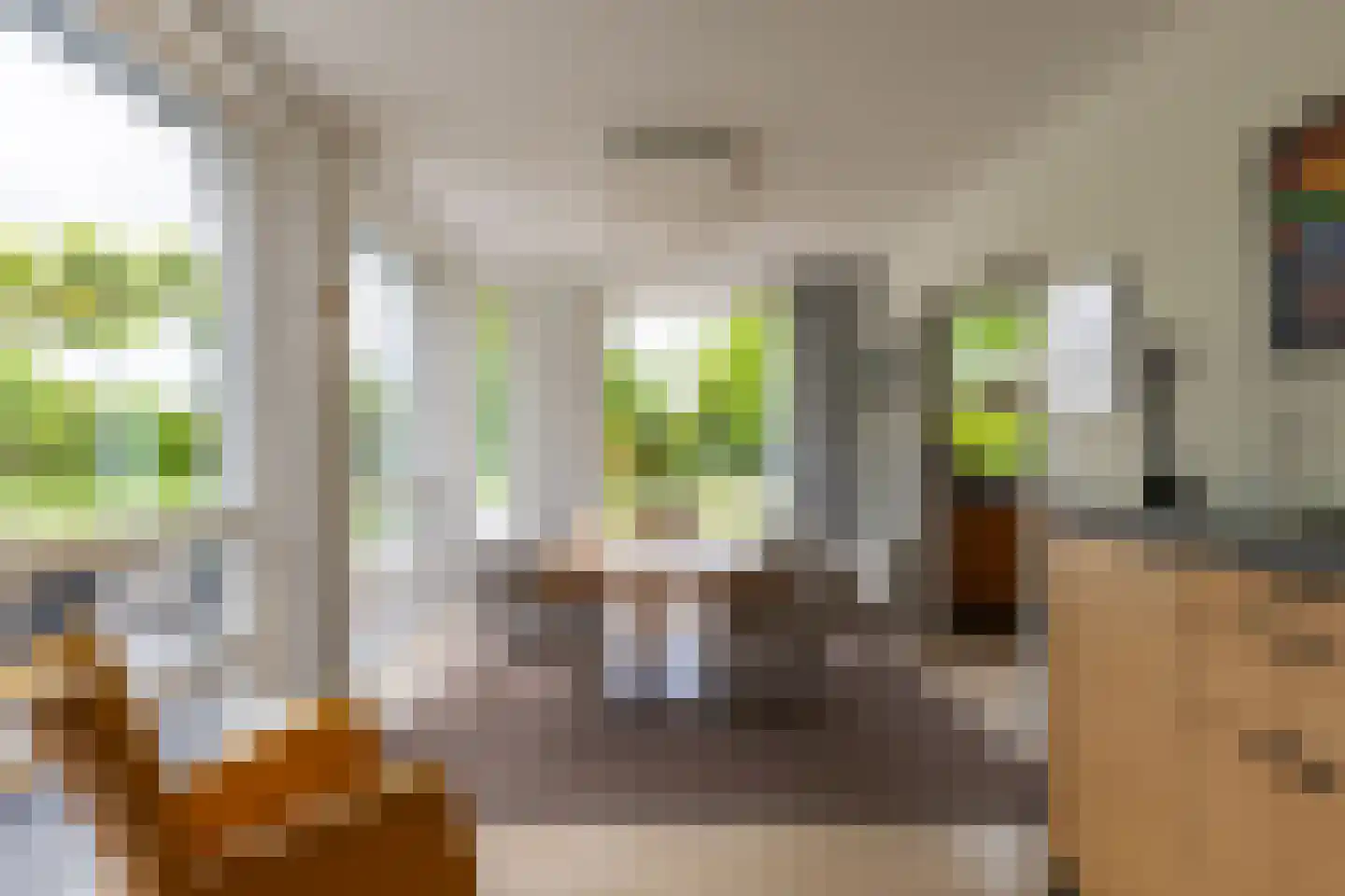 Blauwe Hoek 23 Doornenburg thumbnail 17