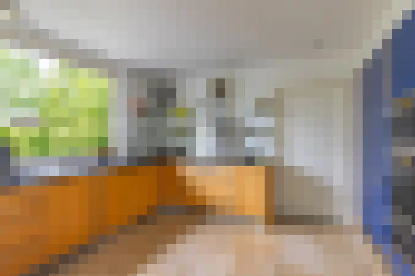 Blauwe Hoek 23 Doornenburg thumbnail 20