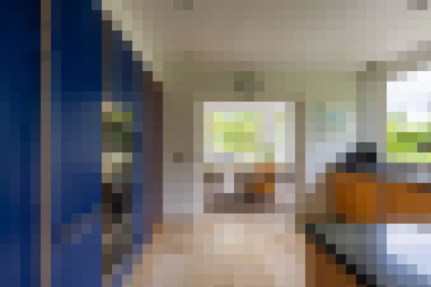 Blauwe Hoek 23 Doornenburg thumbnail 21