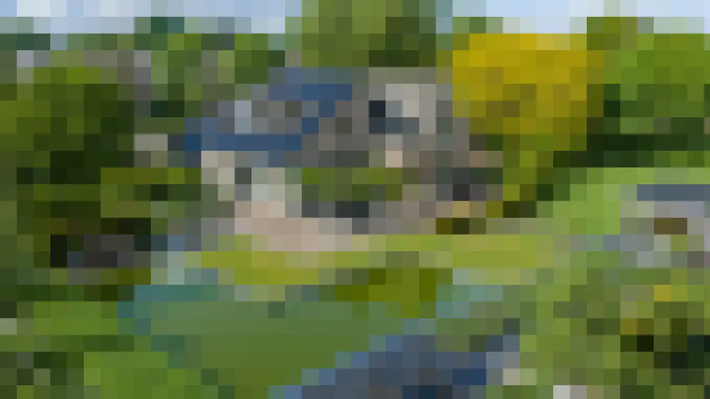Blauwe Hoek 23 Doornenburg thumbnail 27