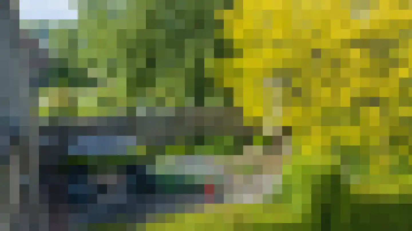 Blauwe Hoek 23 Doornenburg thumbnail 34