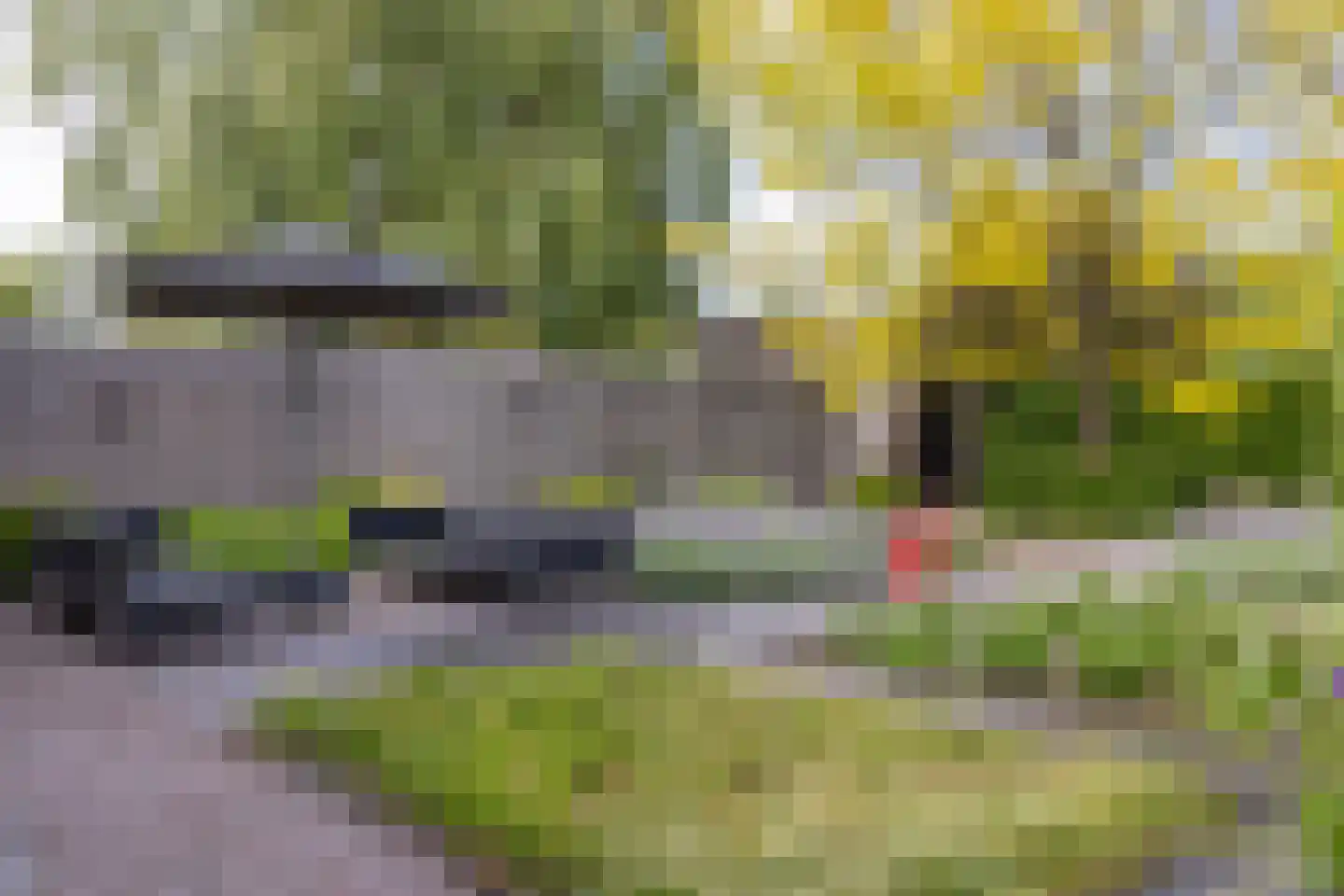 Blauwe Hoek 23 Doornenburg thumbnail 35