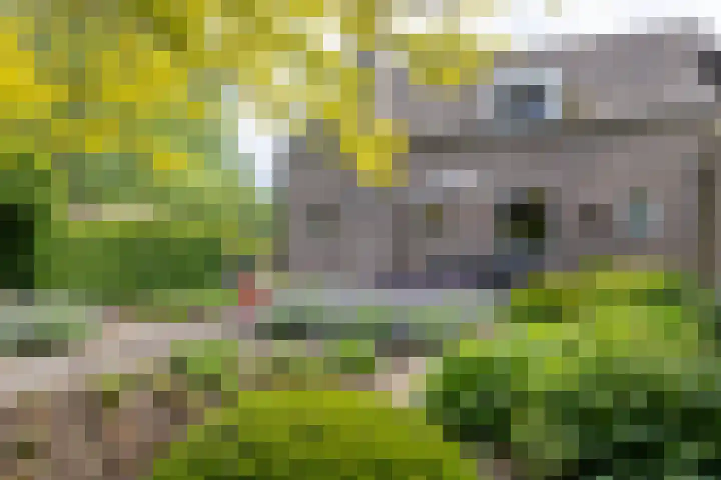 Blauwe Hoek 23 Doornenburg thumbnail 36