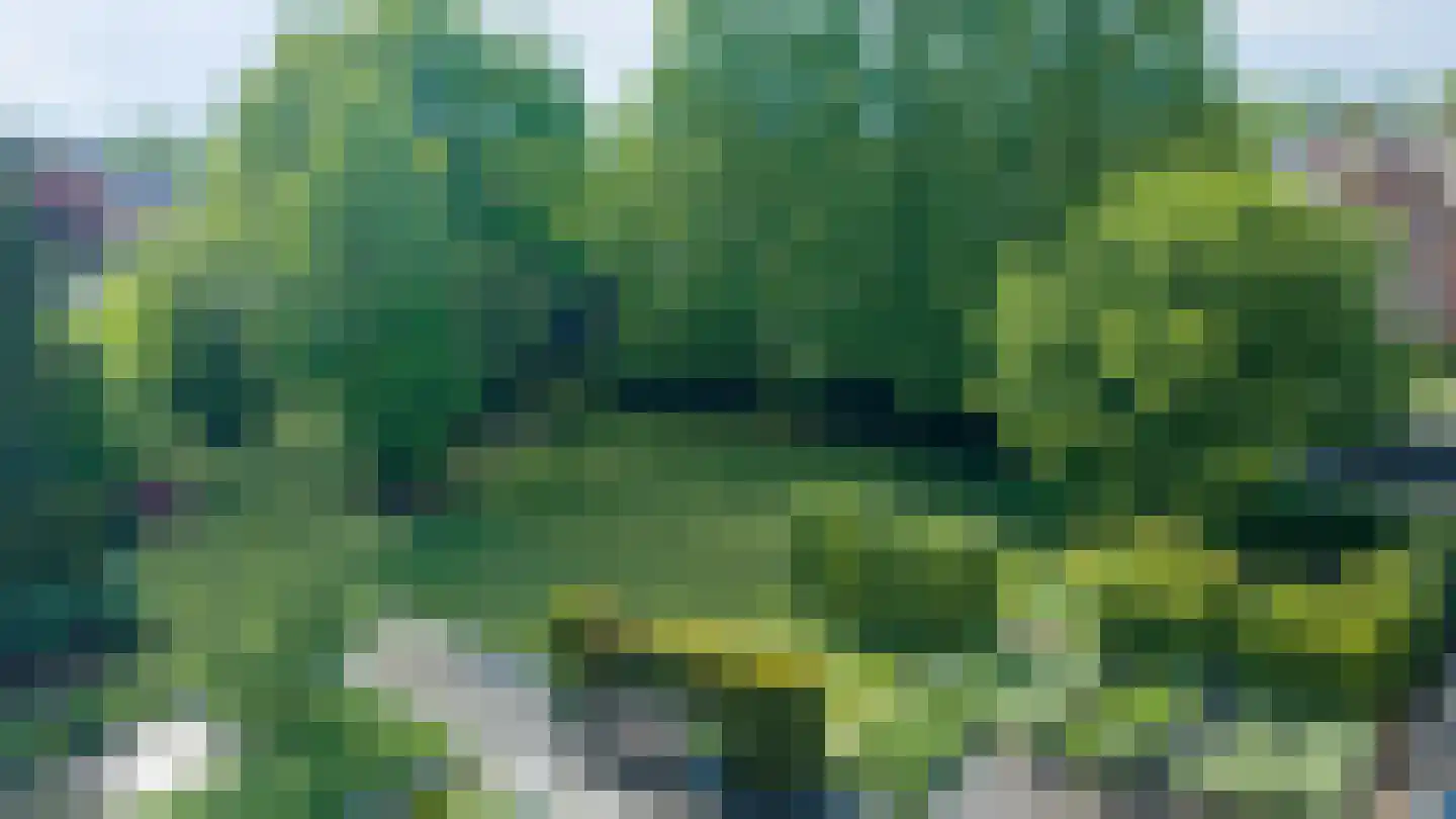 Blauwe Hoek 23 Doornenburg thumbnail 37