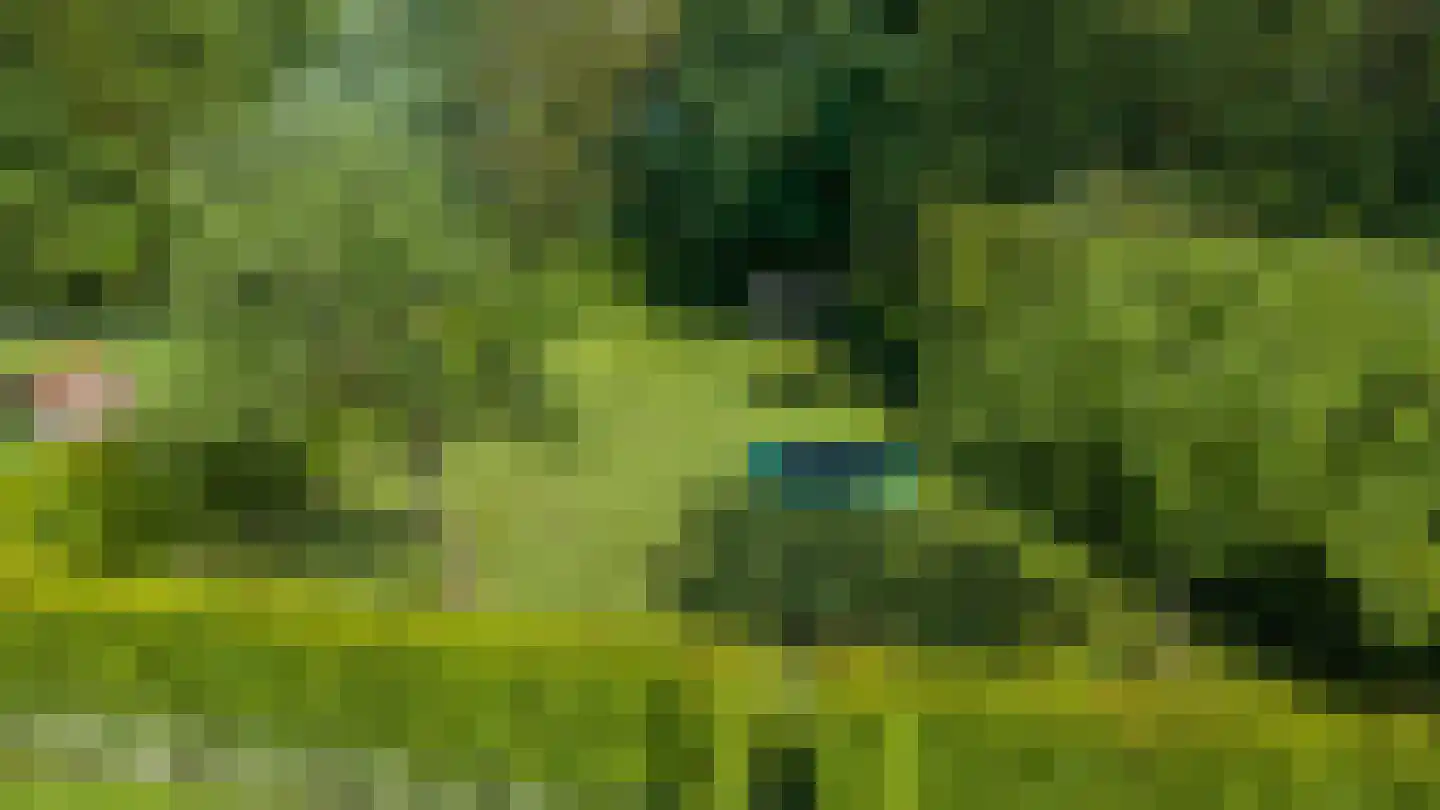 Blauwe Hoek 23 Doornenburg thumbnail 38