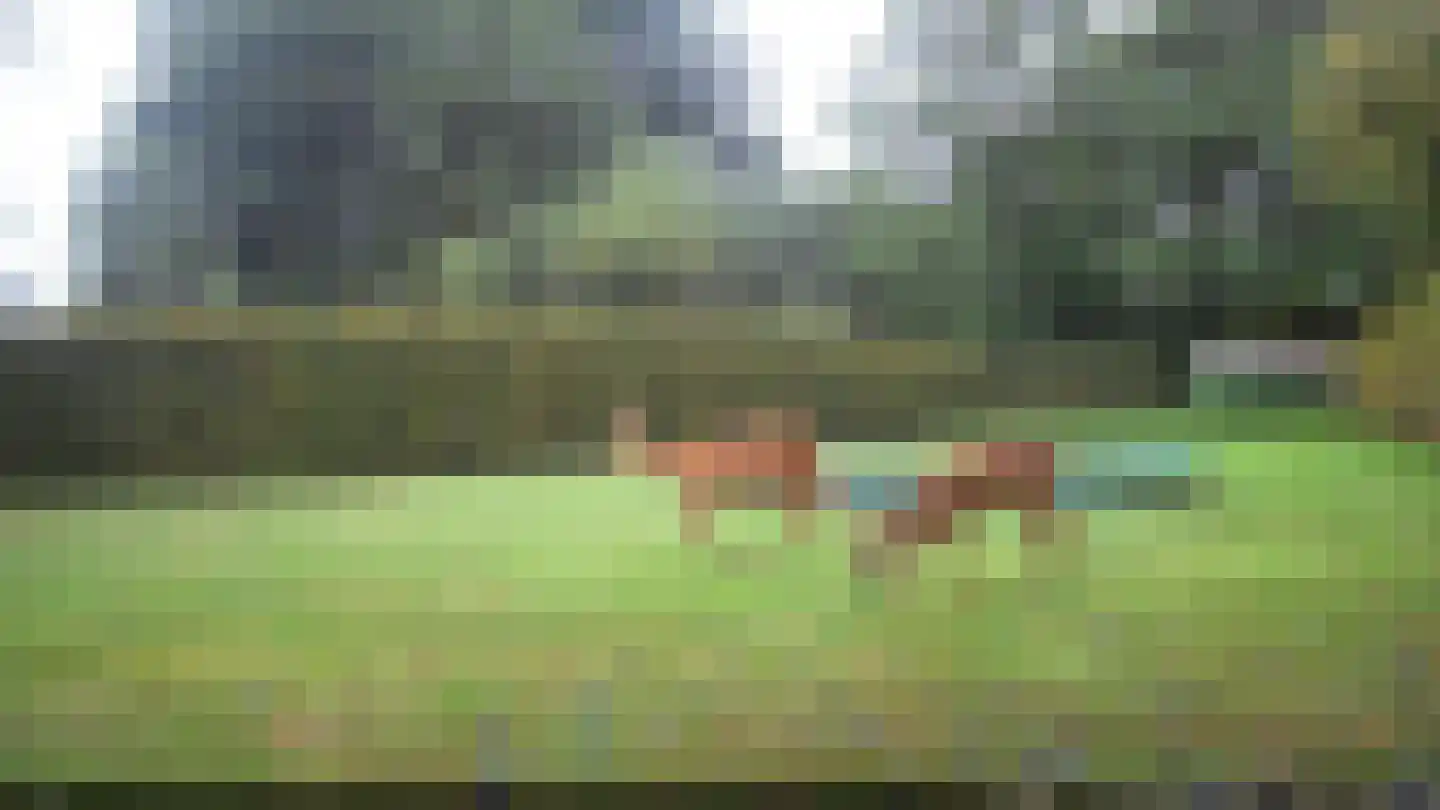 Blauwe Hoek 23 Doornenburg thumbnail 39