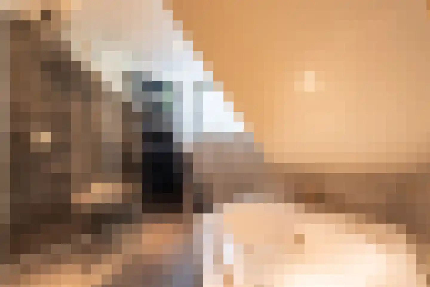 Blauwe Hoek 23 Doornenburg thumbnail 45