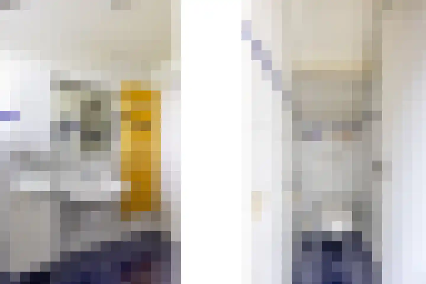 Blauwe Hoek 23 Doornenburg thumbnail 48