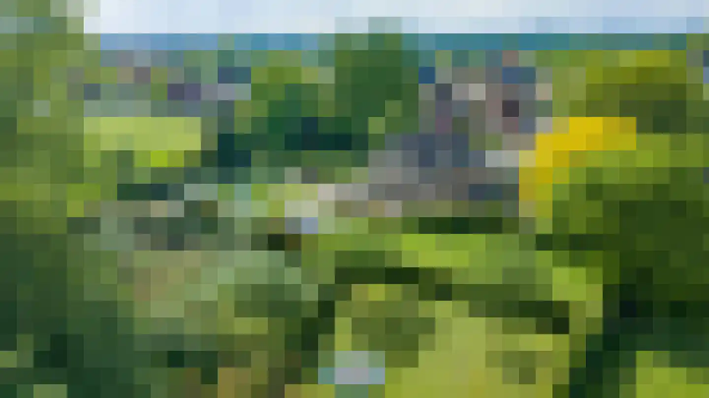 Blauwe Hoek 23 Doornenburg thumbnail 57