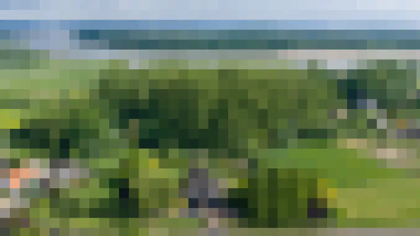 Blauwe Hoek 23 Doornenburg thumbnail 61