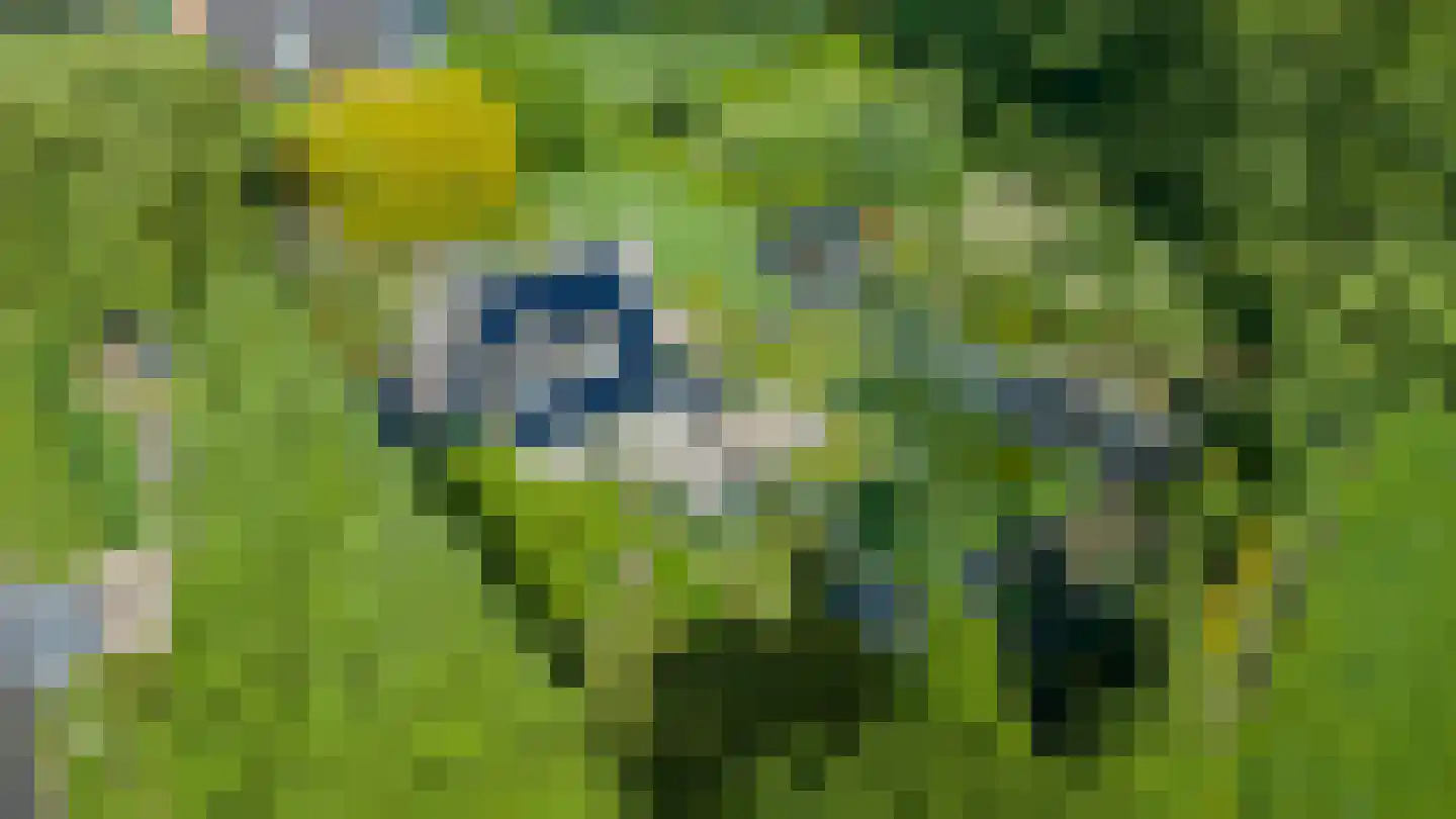 Blauwe Hoek 23 Doornenburg thumbnail 62