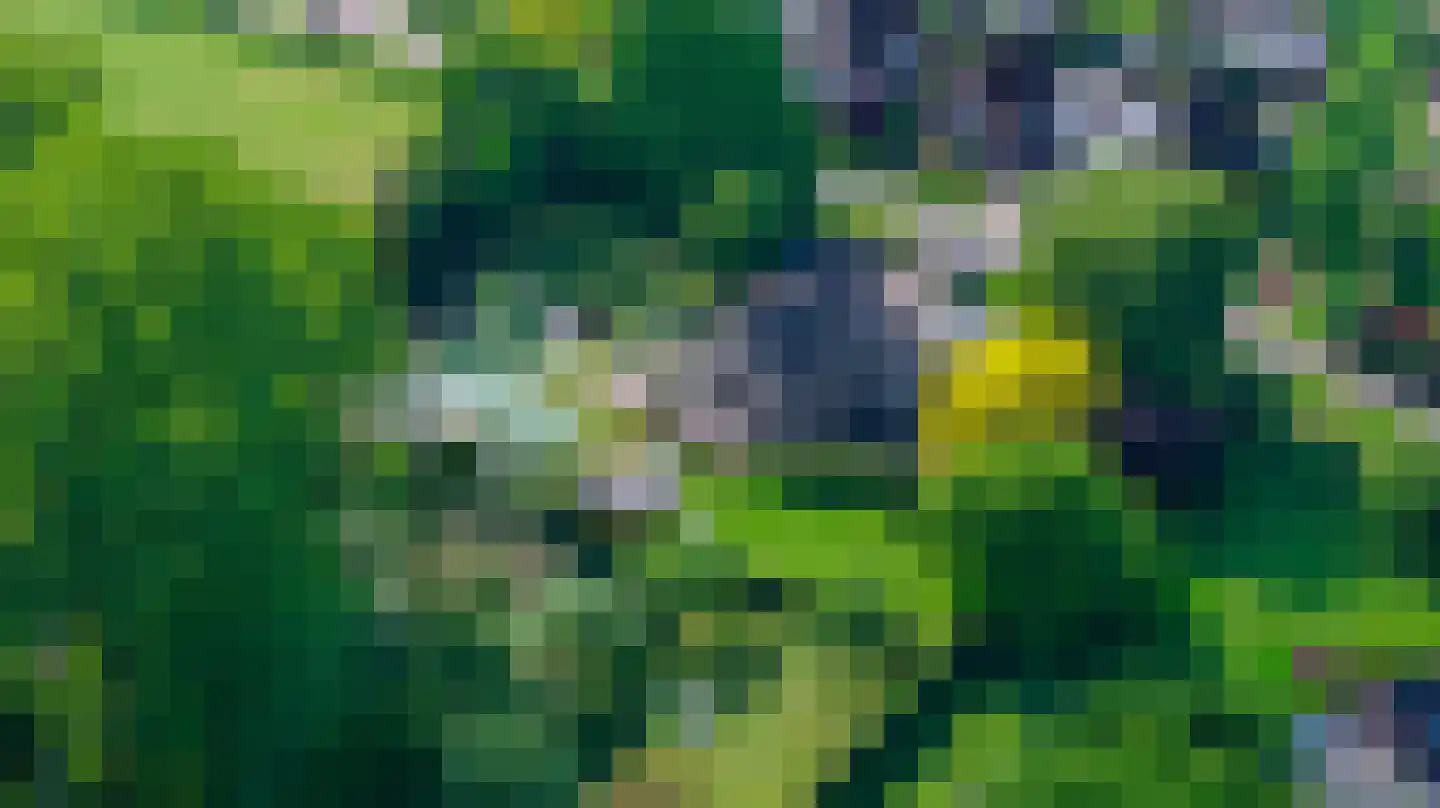 Blauwe Hoek 23 Doornenburg thumbnail 63