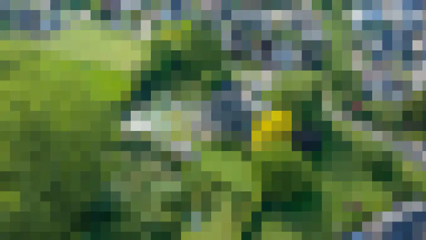Blauwe Hoek 23 Doornenburg thumbnail 64