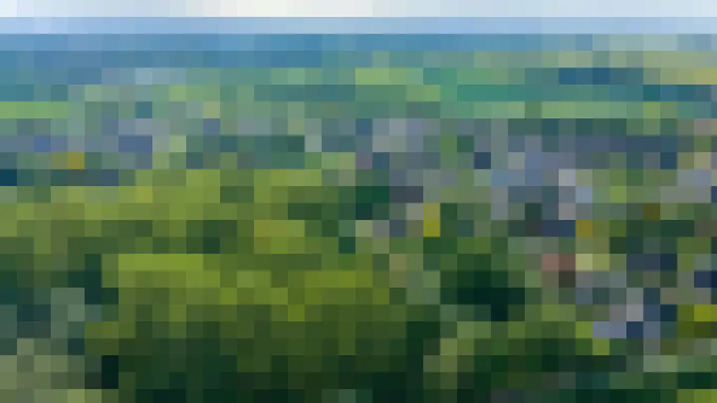 Blauwe Hoek 23 Doornenburg thumbnail 68