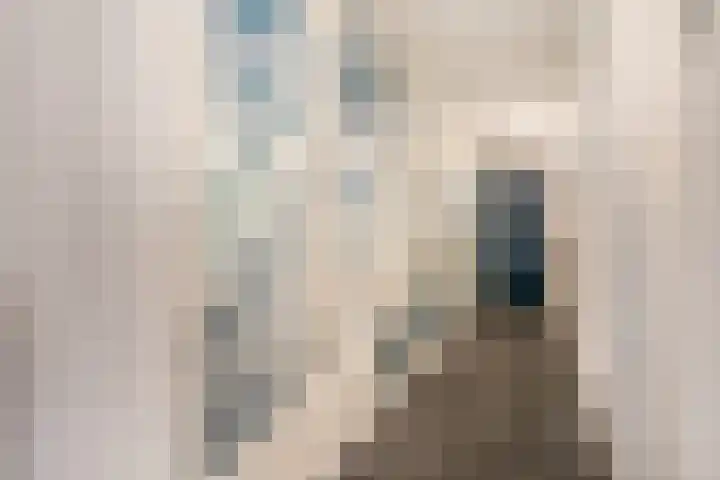 Blauwe Hoek 32 Doornenburg thumbnail 11