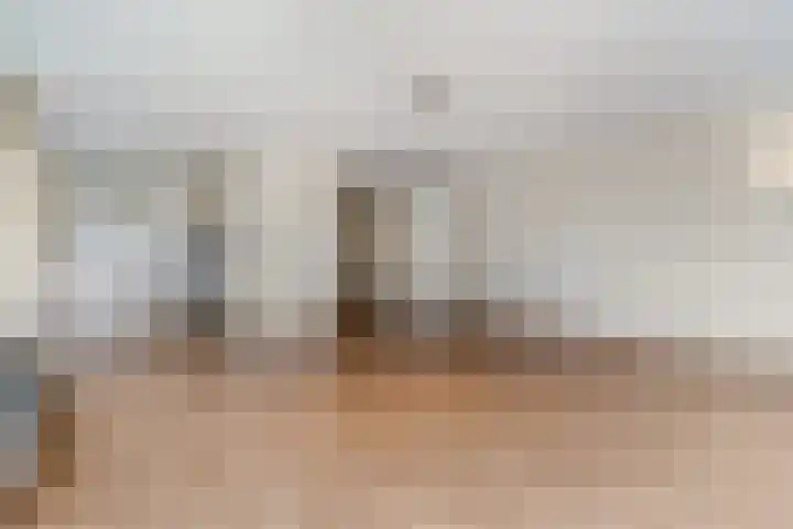 Blauwe Hoek 32 Doornenburg thumbnail 19