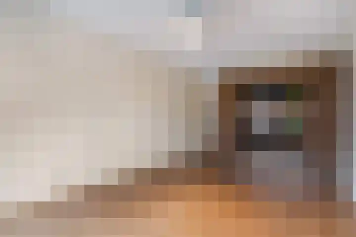 Blauwe Hoek 32 Doornenburg thumbnail 25