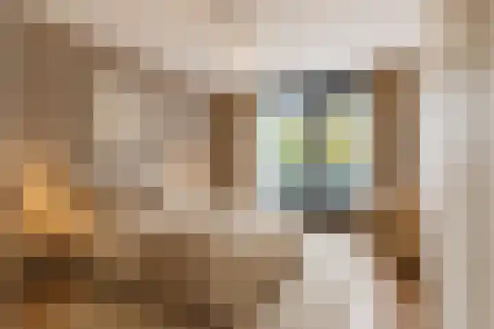 Blauwe Hoek 32 Doornenburg thumbnail 27