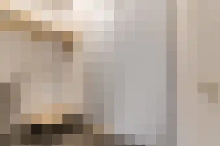 Blauwe Hoek 32 Doornenburg thumbnail 33