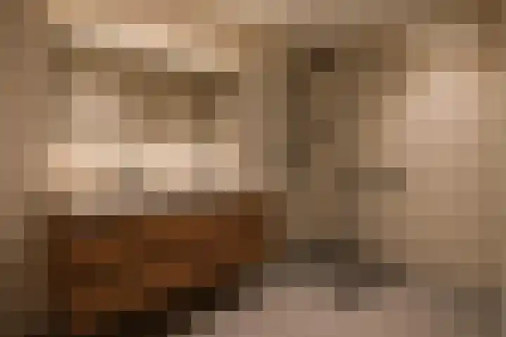 Blauwe Hoek 32 Doornenburg thumbnail 36
