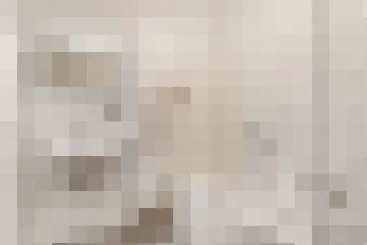 Blauwe Hoek 32 Doornenburg thumbnail 37