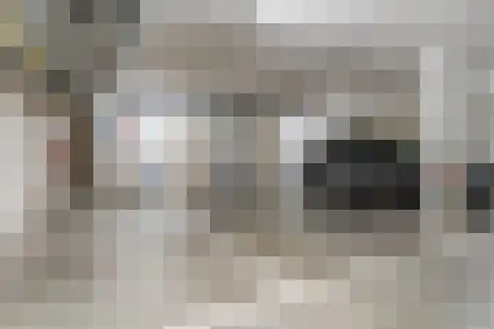 Blauwe Hoek 32 Doornenburg thumbnail 4