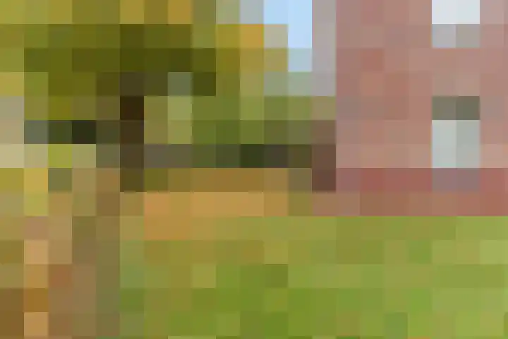Blauwe Hoek 32 Doornenburg thumbnail 42