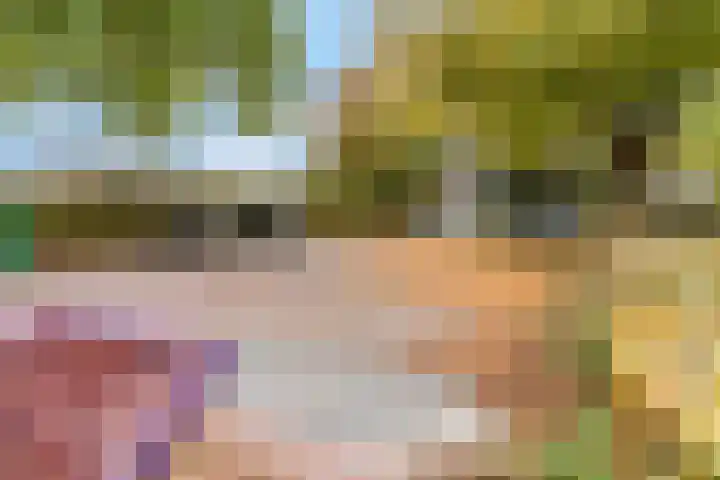Blauwe Hoek 32 Doornenburg thumbnail 43