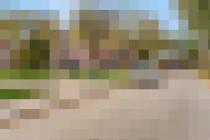 Blauwe Hoek 32 Doornenburg thumbnail 44
