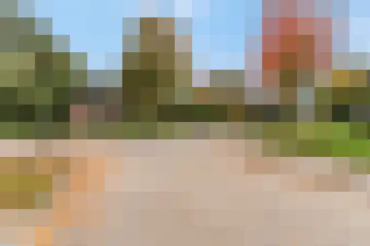 Blauwe Hoek 32 Doornenburg thumbnail 45