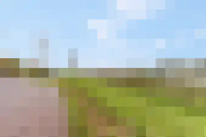 Blauwe Hoek 32 Doornenburg thumbnail 47