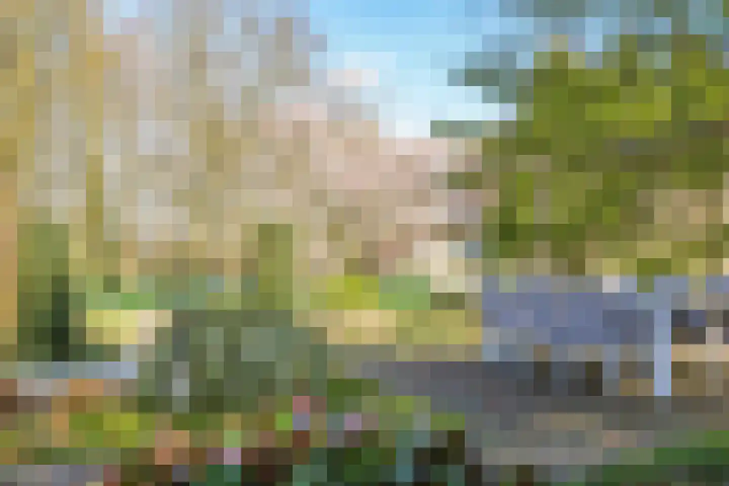 Blauwe Hoek 60 c Doornenburg thumbnail 20