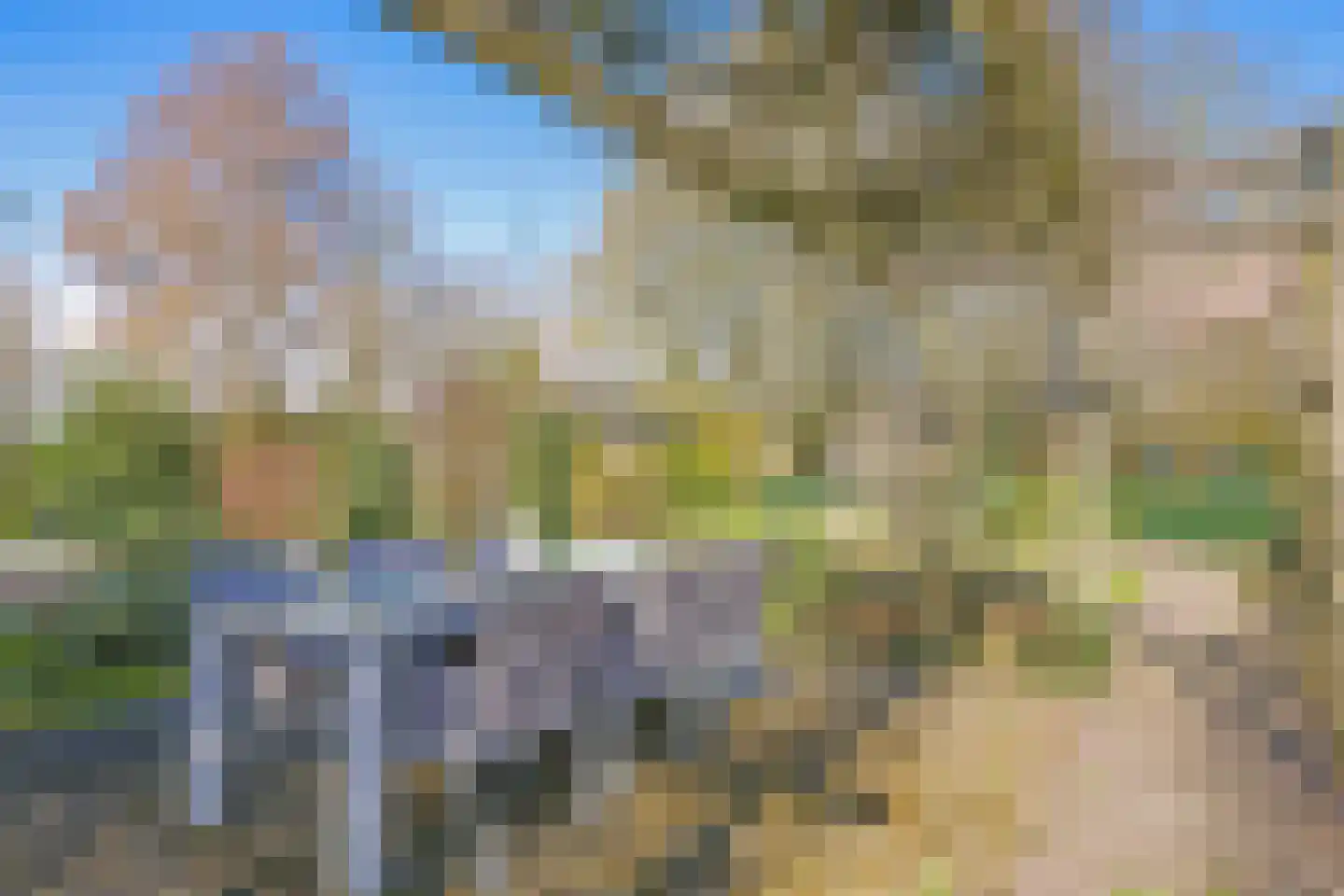 Blauwe Hoek 60 c Doornenburg thumbnail 21