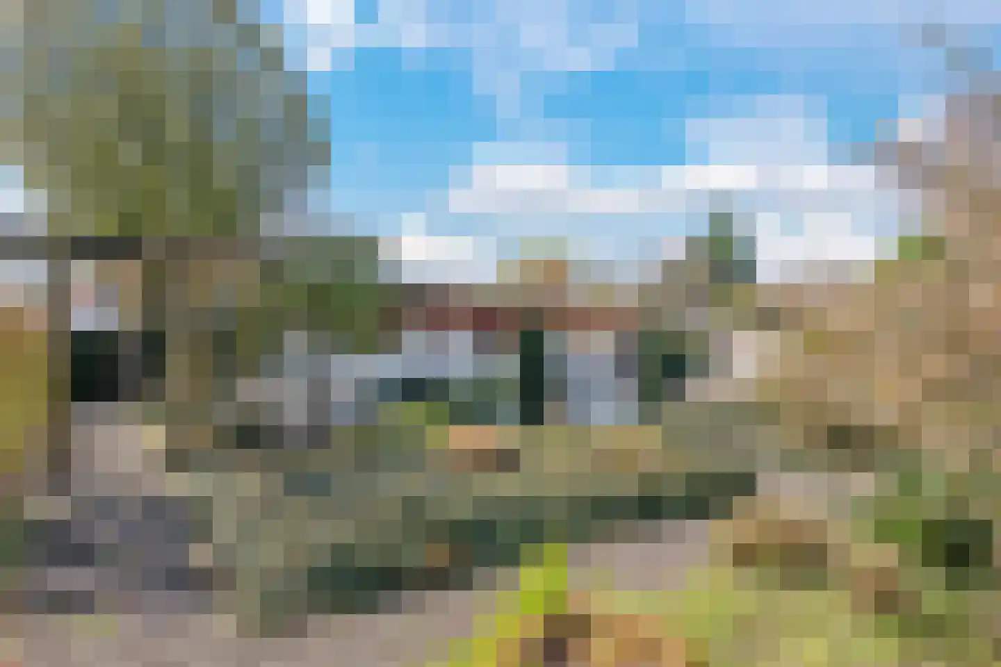Blauwe Hoek 60 c Doornenburg thumbnail 25