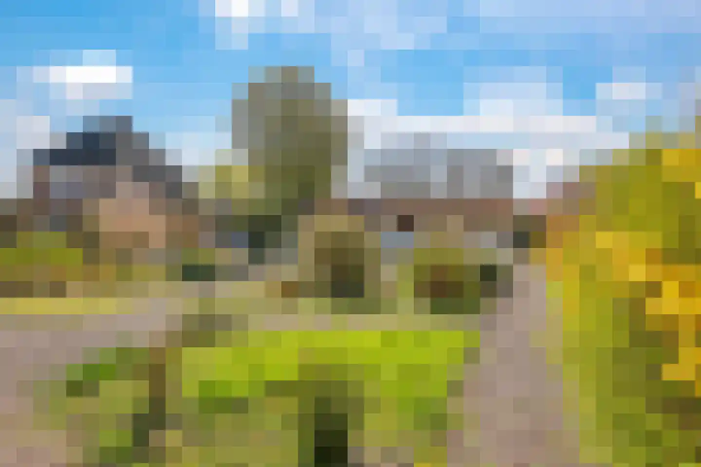 Blauwe Hoek 60 c Doornenburg thumbnail 26