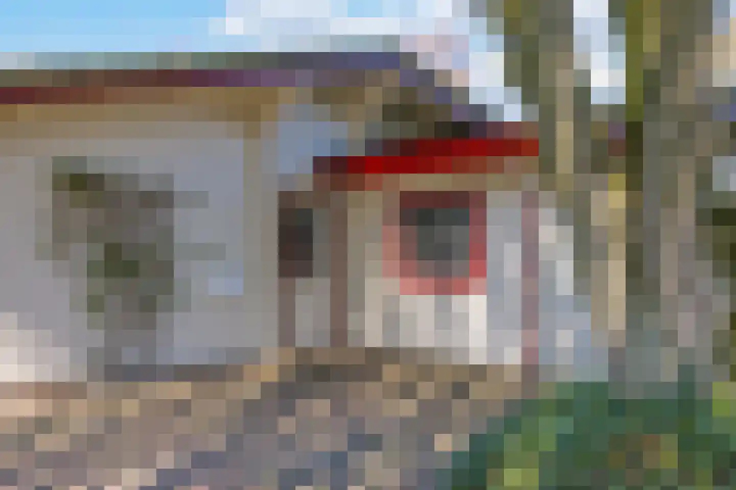Blauwe Hoek 60 c Doornenburg thumbnail 27