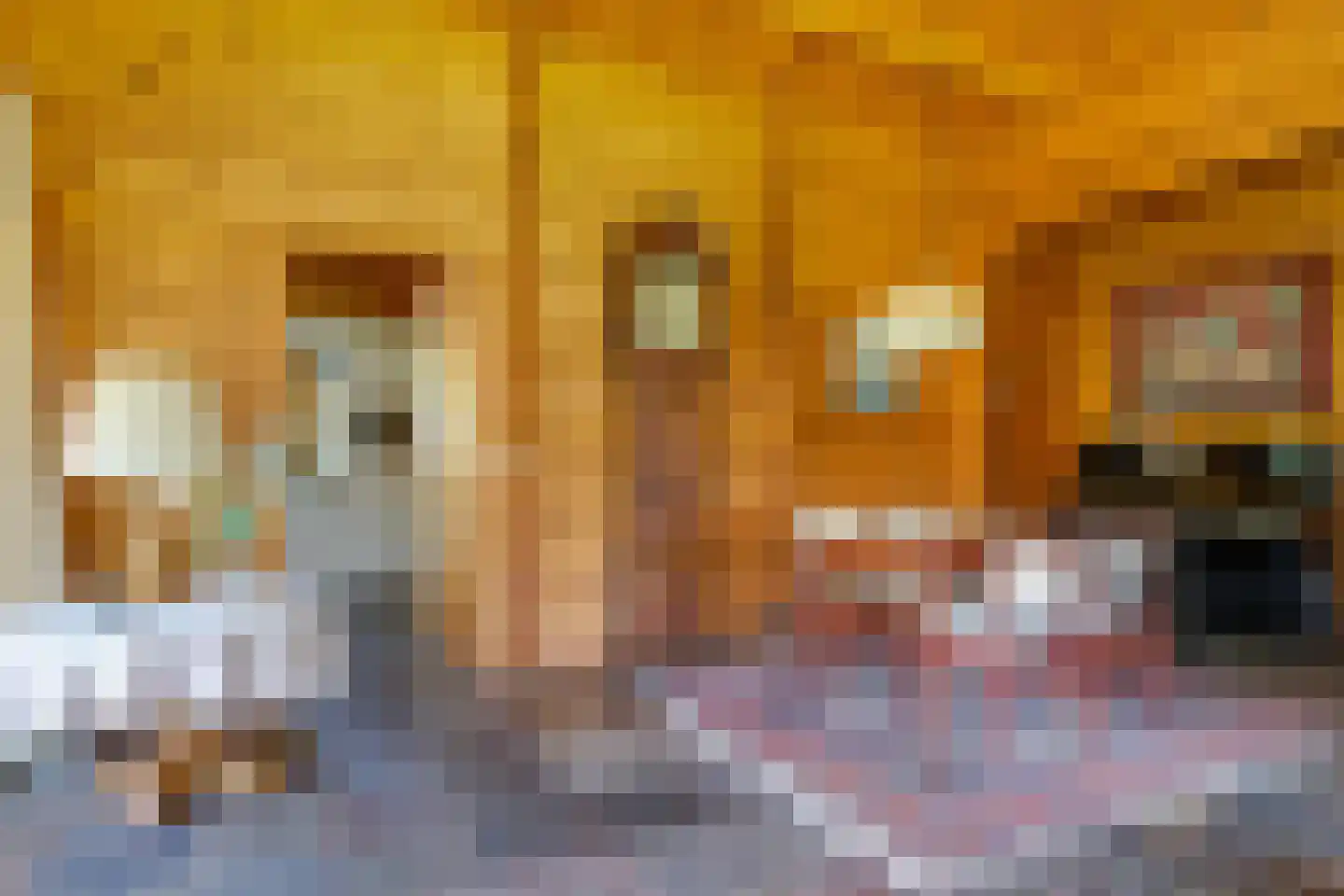 Blauwe Hoek 60 c Doornenburg thumbnail 37