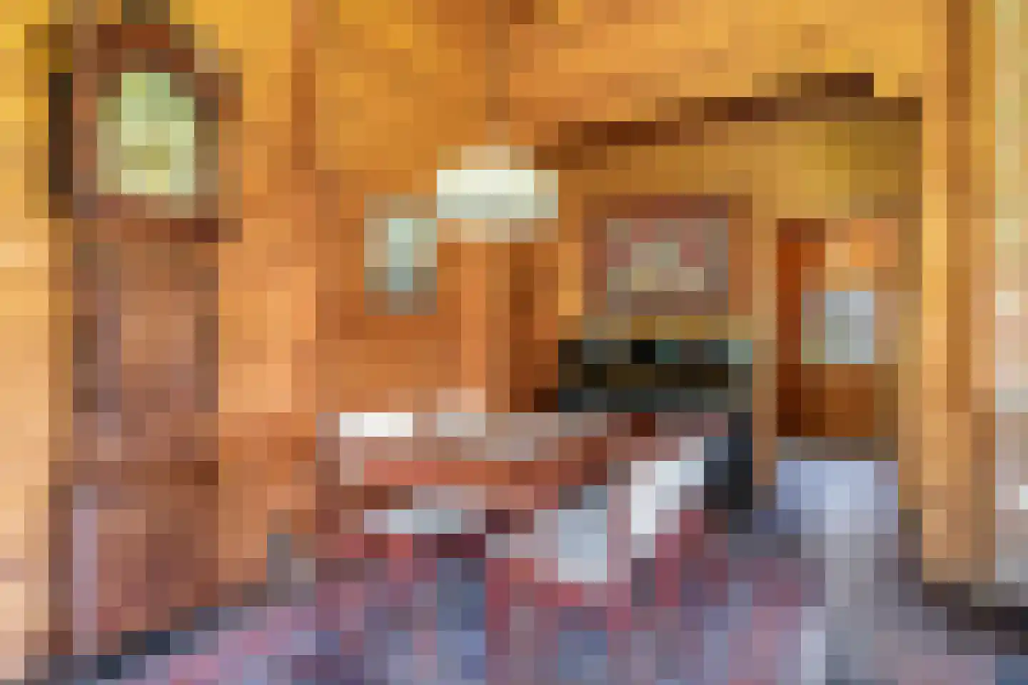 Blauwe Hoek 60 c Doornenburg thumbnail 38