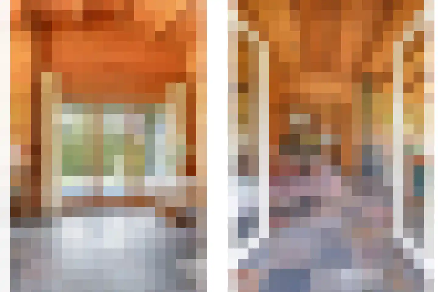 Blauwe Hoek 60 c Doornenburg thumbnail 40