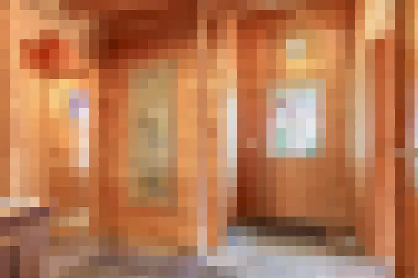 Blauwe Hoek 60 c Doornenburg thumbnail 45