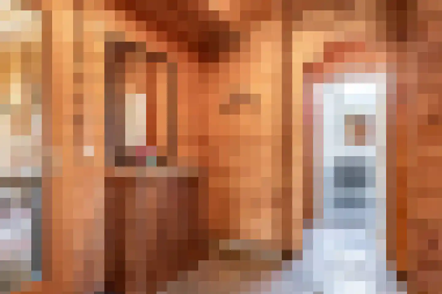 Blauwe Hoek 60 c Doornenburg thumbnail 47