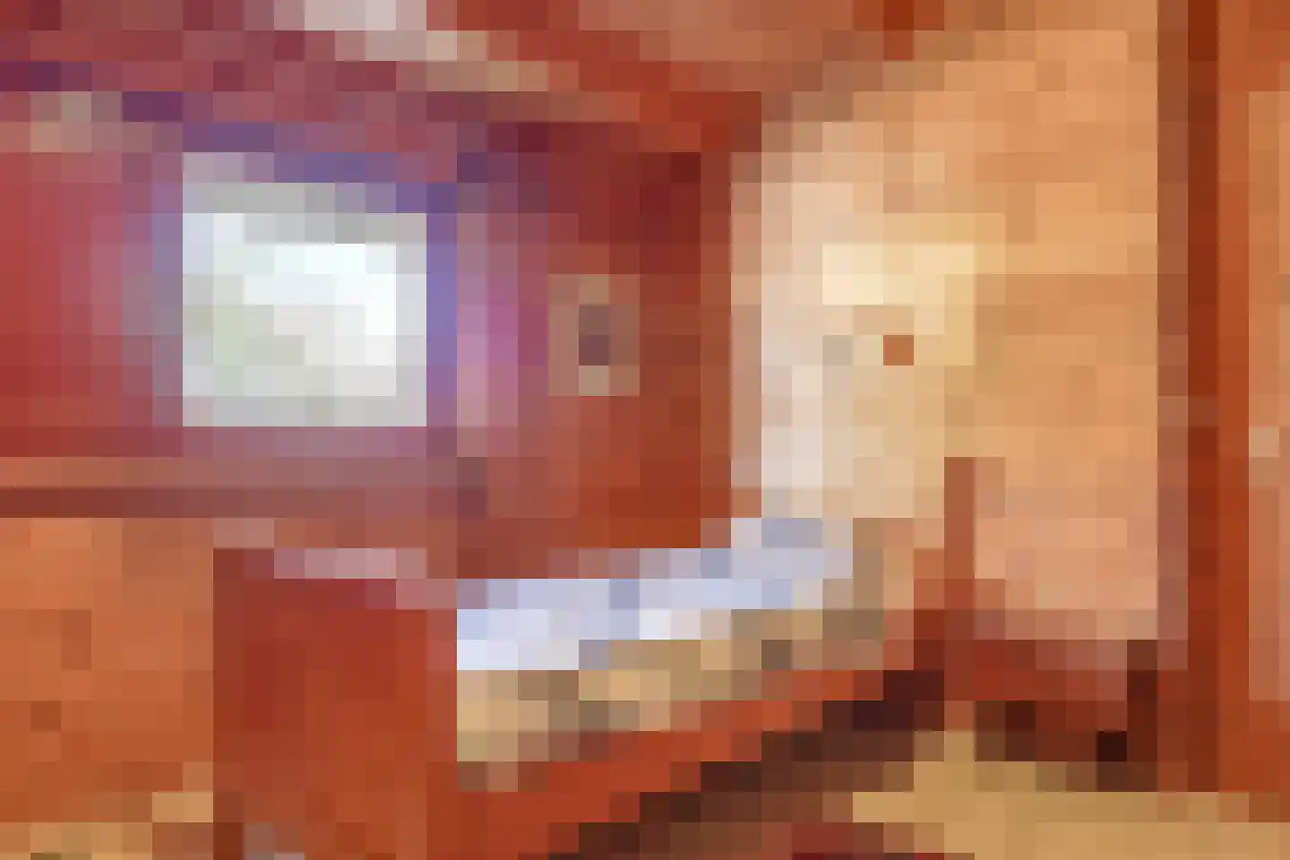 Blauwe Hoek 60 c Doornenburg thumbnail 50