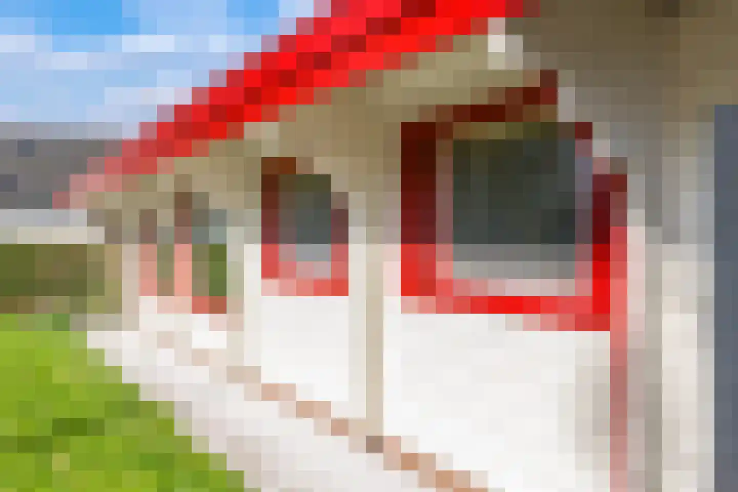 Blauwe Hoek 60 c Doornenburg thumbnail 59