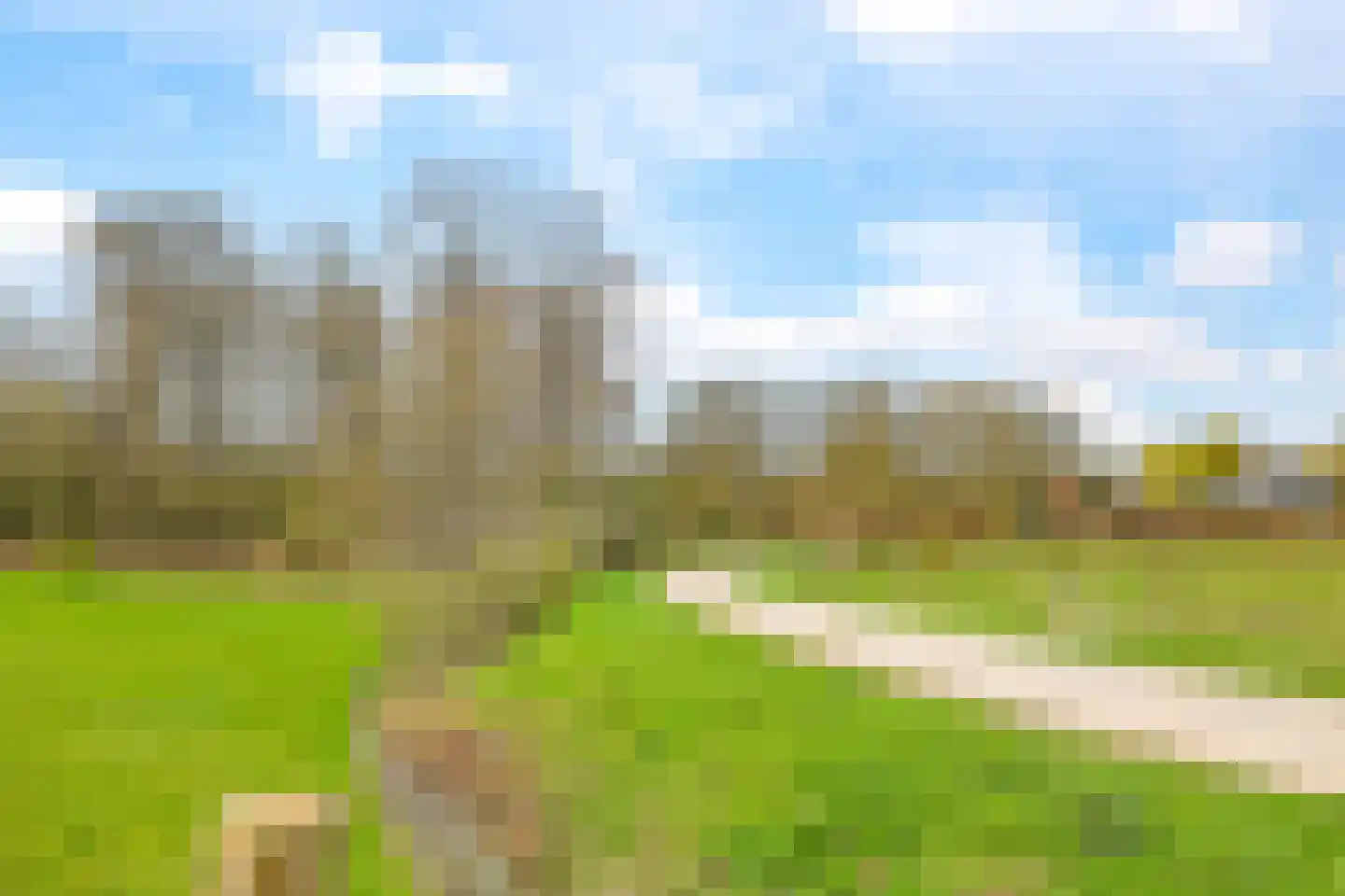 Blauwe Hoek 60 c Doornenburg thumbnail 64